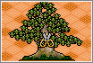 Bonsai Master