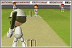 Flash Cricket 2