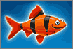 Franky the Fish