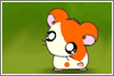 Hamster