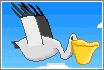 Pelican Lost