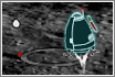 Space Ship Lander