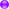 the color purple