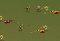 Warlords: Call to Arms