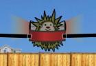 hedgehog-launch