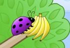 fruity-bugs