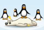 crazy-penguin-catapult