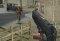Sniper Duty