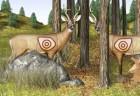 bow-hunter