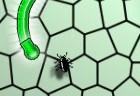 bug-killer