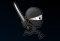 The Night of the Ninja
