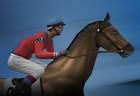 steeplechase
