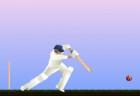 cricket-game
