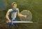 Warlords 2: Rise of Demons