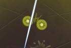 fruit-slasher