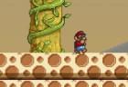 mario-doomsday