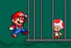 super-mario-save-toad