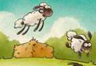 home-sheep-home-2