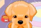 my-sweet-dog-2
