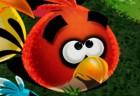 save-the-angry-bird