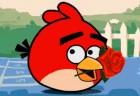 Rolling Angry Birds