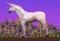 Clop