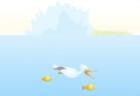 the-bird-and-the-sea