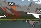 bird-blast