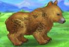 my-kind-bear