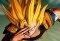 Dragon Ball Z