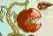 Fruit Defense