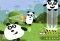 3 Pandas