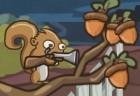 defend-your-nuts-2