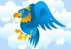 birdy