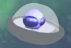 ping-ploop