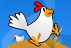 chicken-attack