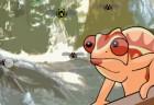 bug-hunt