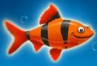 franky-the-fish