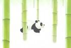 panda-run