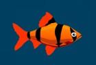 franky-the-fish-2