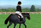 show-jumping