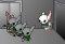 Bunny kill III Vol.2