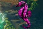 seahorse-roundup