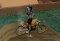 Moto X Freestyle