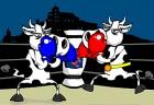 cow-fighter