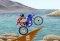 FMX Team
