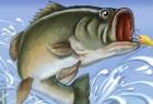Fishing Champion