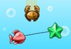 Aquastones: Catch em