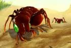 Bug War