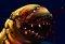 Worm Land